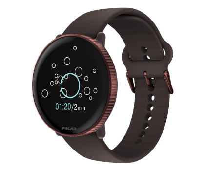 Smartwatch Polar Ignite 3 Brown Copper